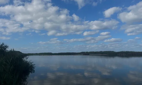 Работа в мастерской